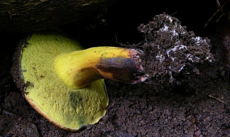 Risposte griglia 2 (marted� 29 maggio)